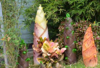 竹筍雕塑供需,小區雕塑,不銹鋼竹筍雕塑制造廠家