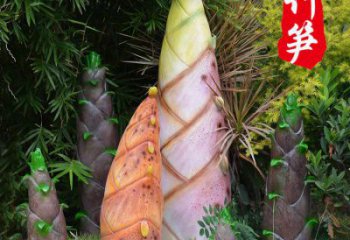 竹筍雕制造商,室外軟裝,不銹鋼竹筍雕塑生產商